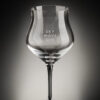 Sky Wave Gin Branded Gin Goblet
