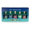 Ultimate Sky Wave Gin Gift Box - 5 x Sky Wave Miniatures
